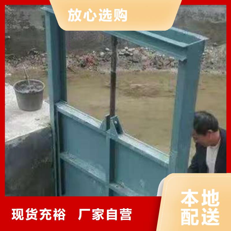  钢闸门实时报价