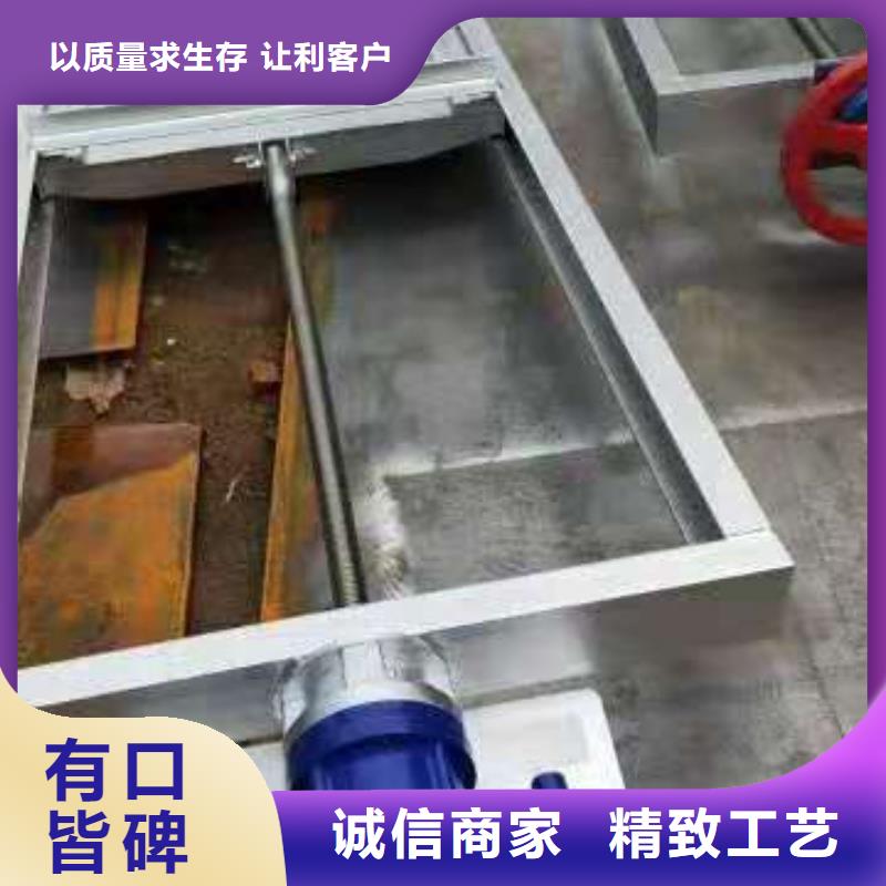  钢闸门实力派厂家