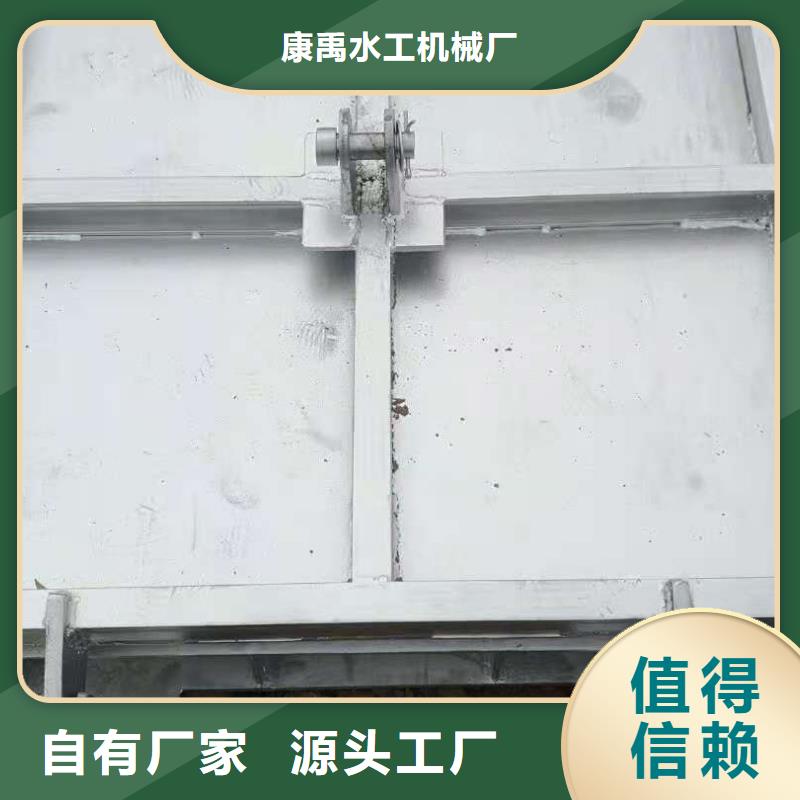  钢闸门实力派厂家