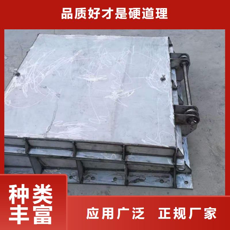  钢闸门厂家实力大