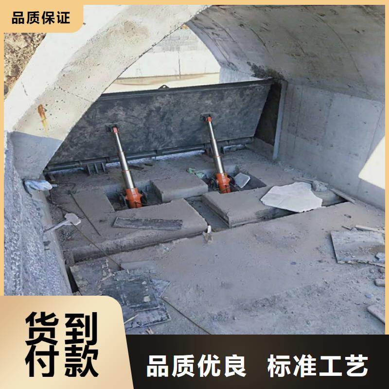 钢闸门电动头启闭机保障