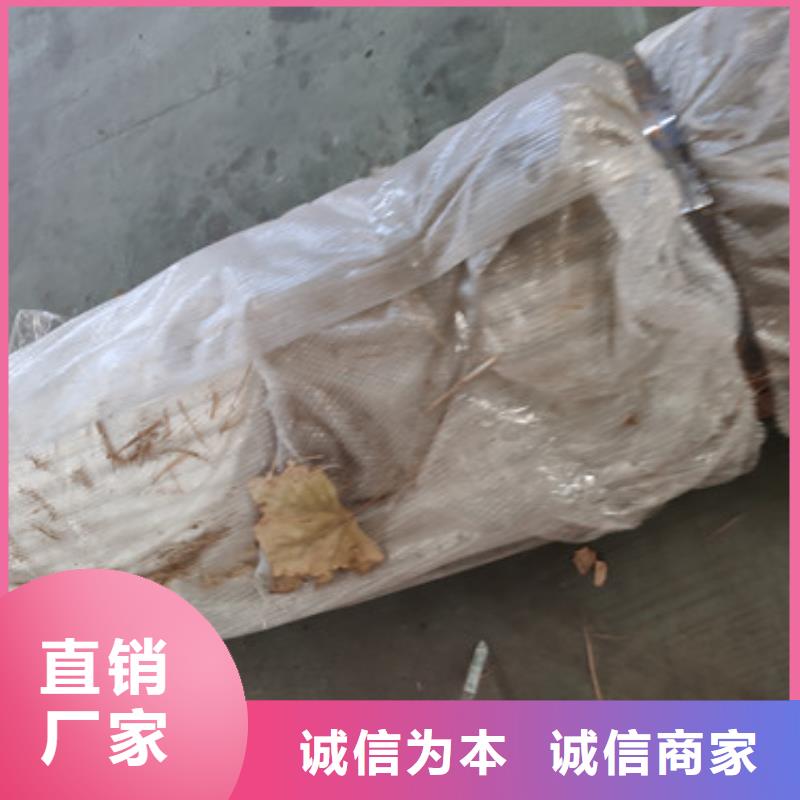 人工湖不锈钢防撞隔离灯光护栏各规格价格