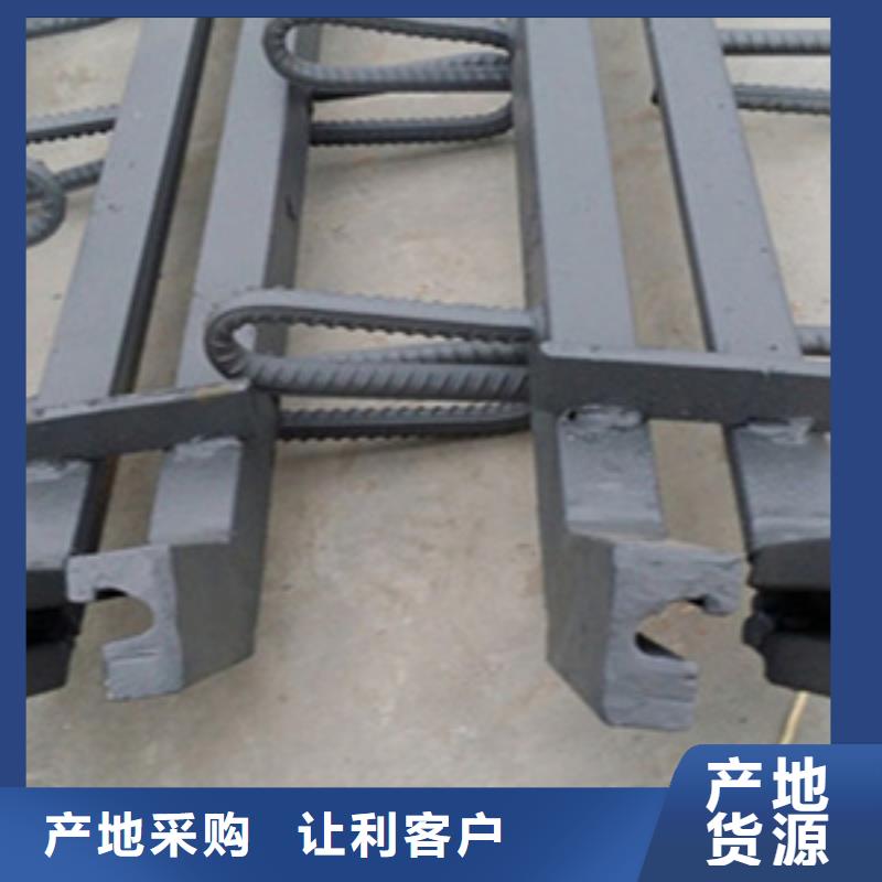 梳齿桥梁伸缩缝支持定做生产厂家