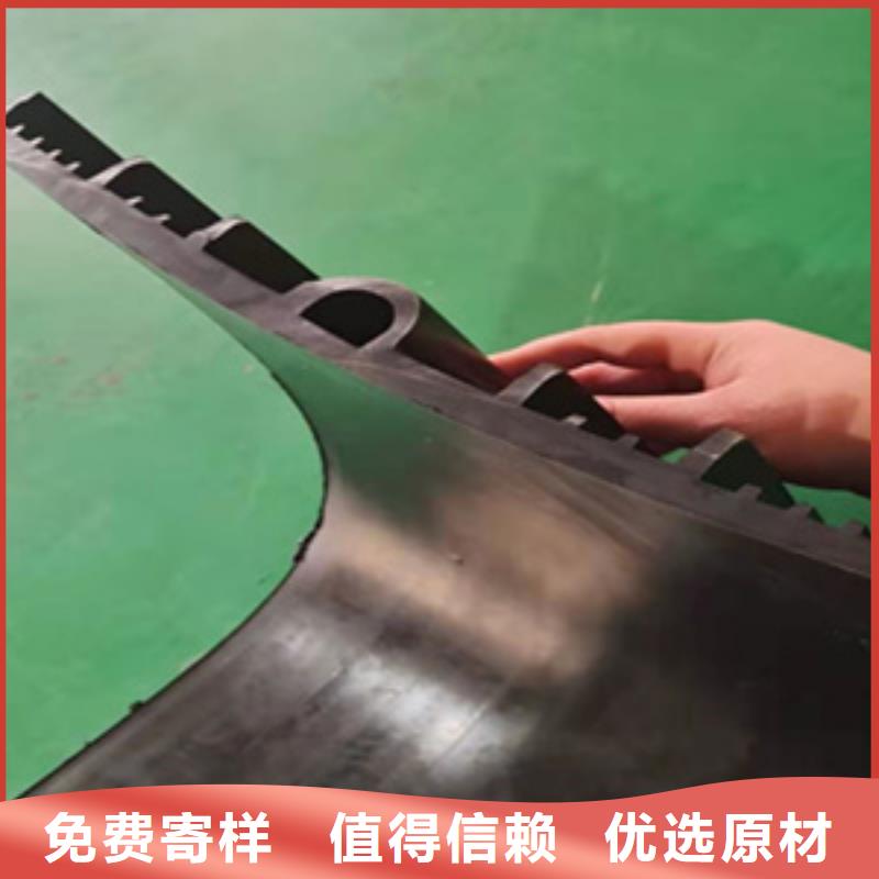 背贴式橡胶止水带厂家价格县