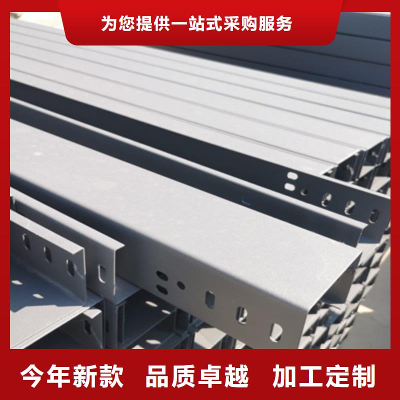 热镀锌带孔托盘桥架实体工厂质优价廉