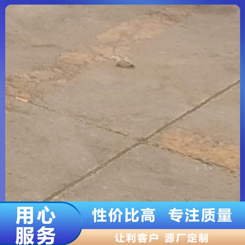护栏-桥梁护栏厂自有厂家