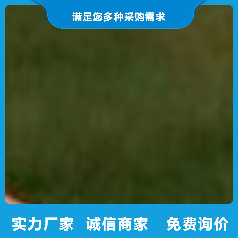 公路防撞栏杆厂家质优价廉