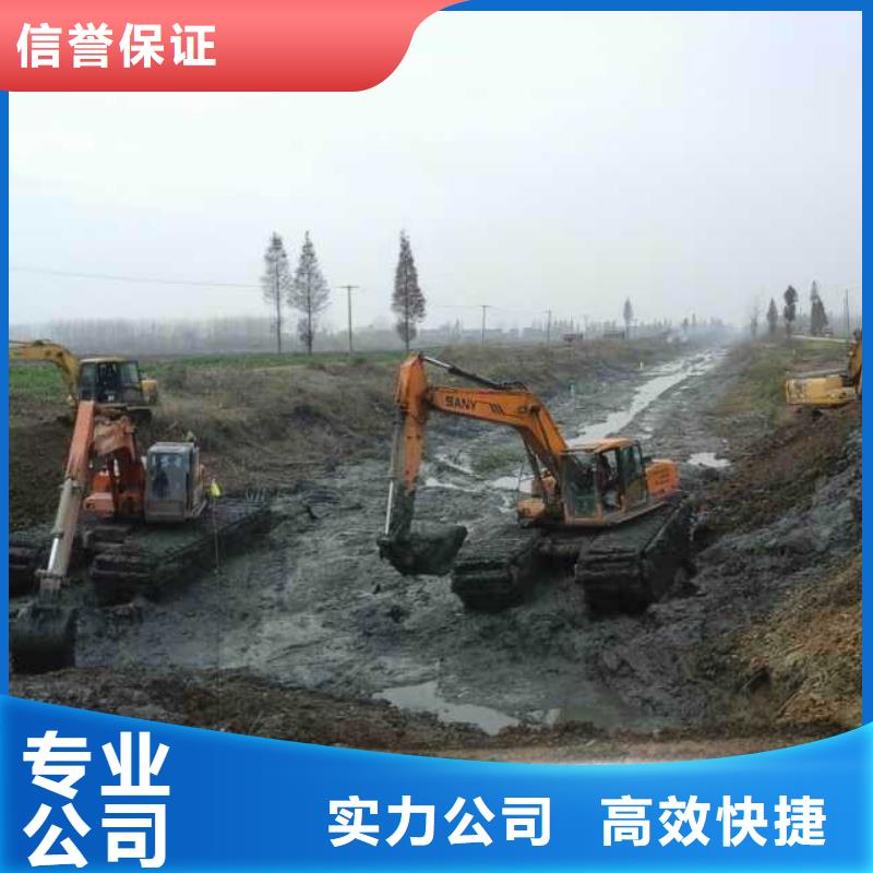 水陆挖掘机-水陆挖掘机出租好评度高
