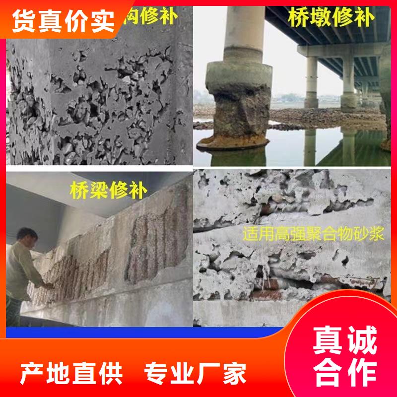 抹面砂浆灌浆料欢迎来电询价