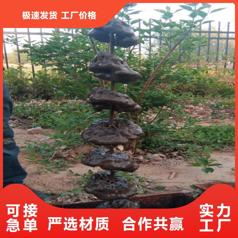 污水处理,一体化泵站服务至上