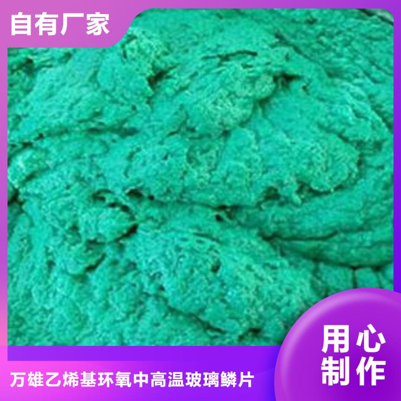玻璃鳞片胶泥-环氧树脂多年行业经验