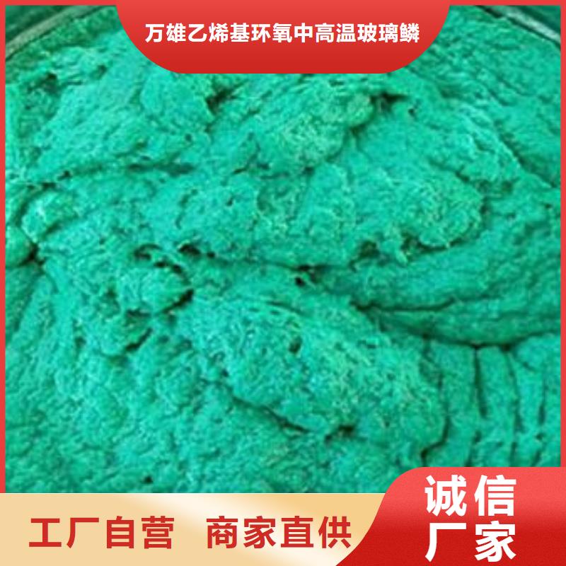 玻璃鳞片胶泥环氧玻璃鳞片涂料源头厂家量大价优