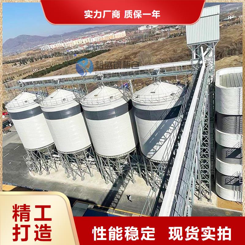 供应20000吨钢板仓-实体厂家可定制