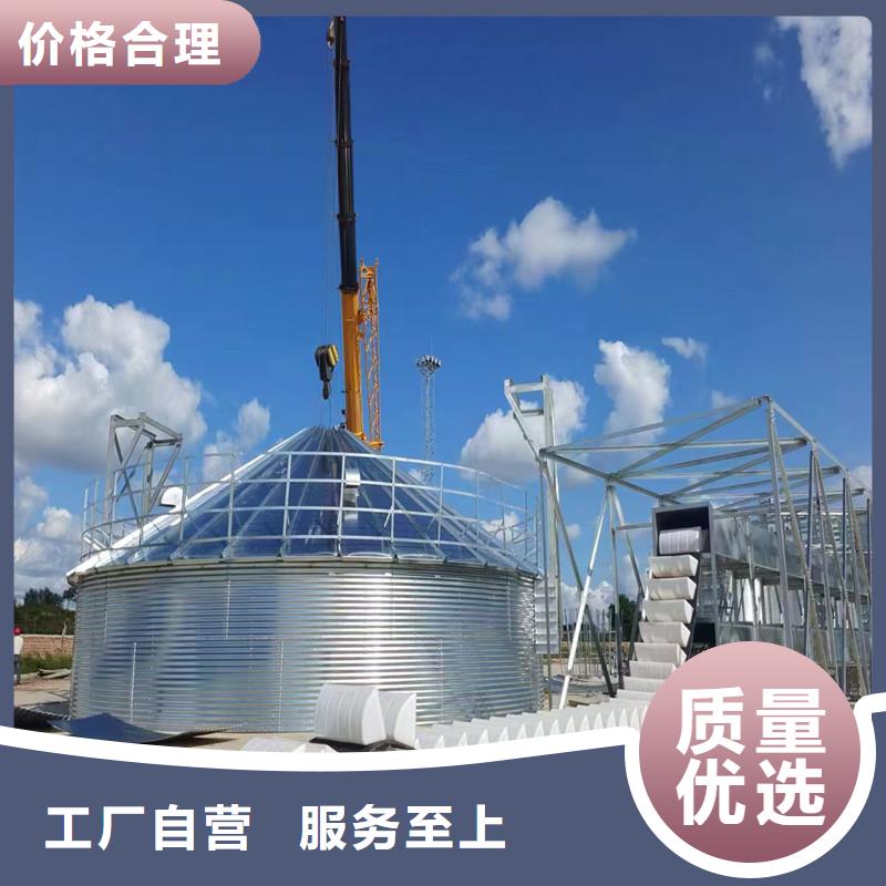 玉米豆类装配式粮仓钢板仓包邮现货直销
