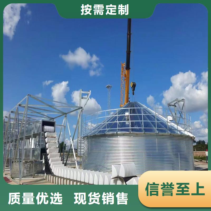 立式玉米钢板仓专业供应商