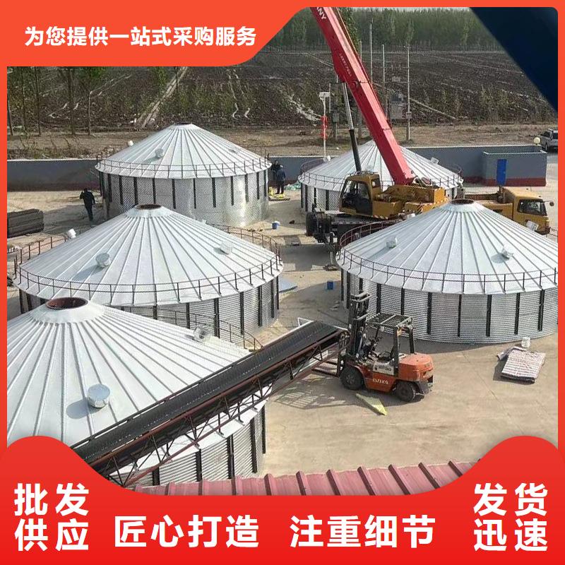 #玉米豆类装配式钢板仓#-可定制