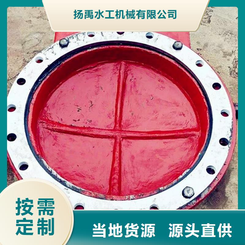 铸铁闸门卷扬启闭机当地厂家值得信赖