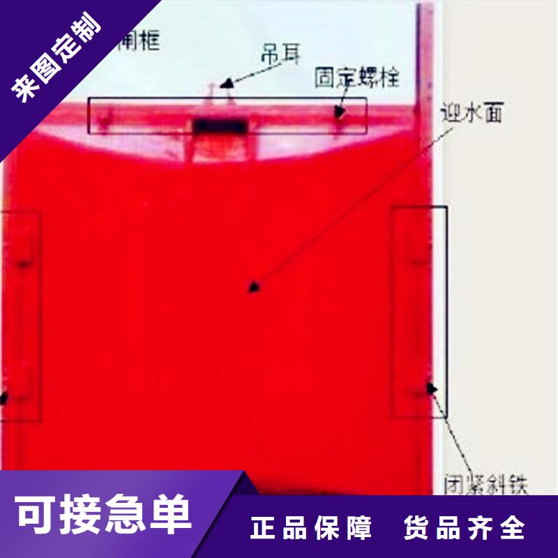 【铸铁闸门机闸一体式闸门质量检测】