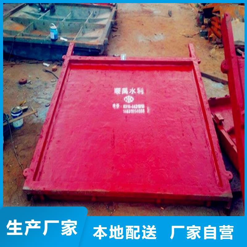 铸铁闸门-不锈钢拍门工艺精细质保长久