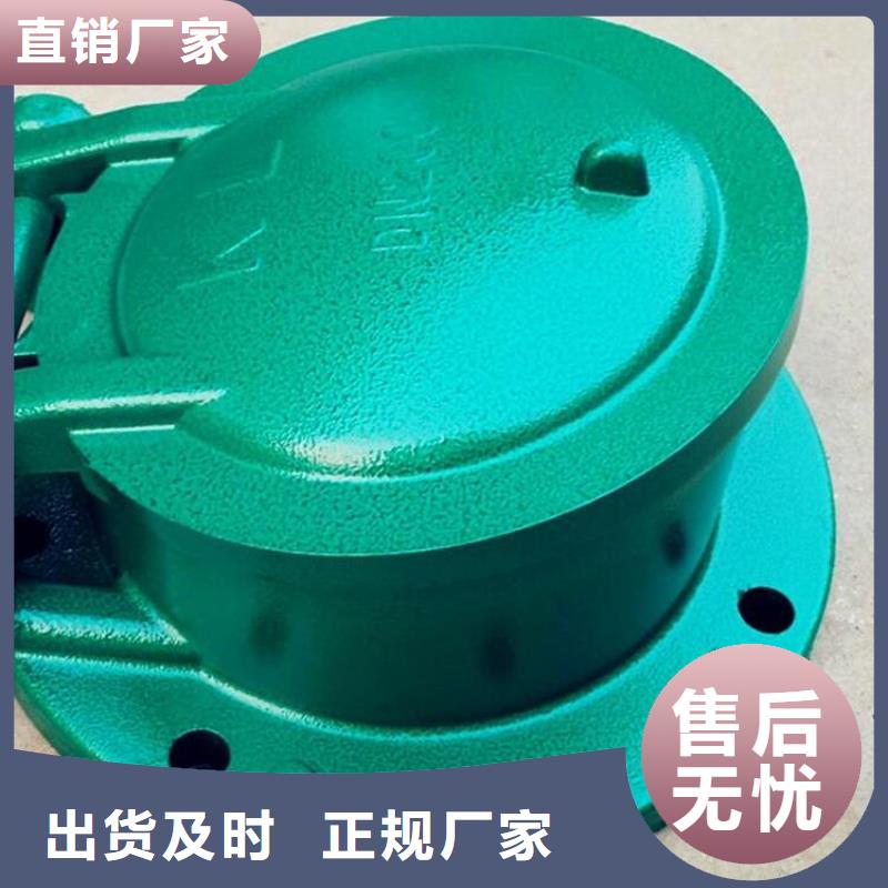 铸铁闸门-不锈钢拍门工艺精细质保长久