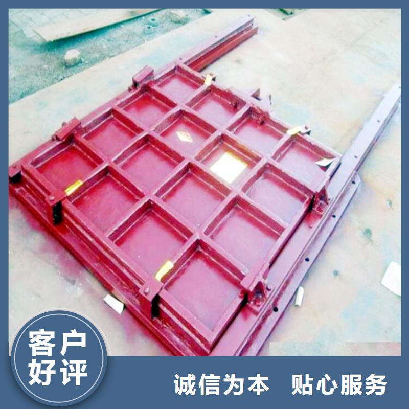 铸铁闸门精工制作