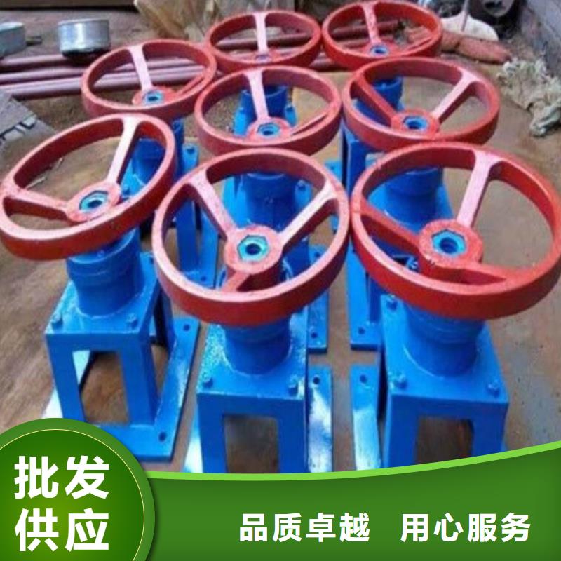 螺杆启闭机,钢制闸门支持定制