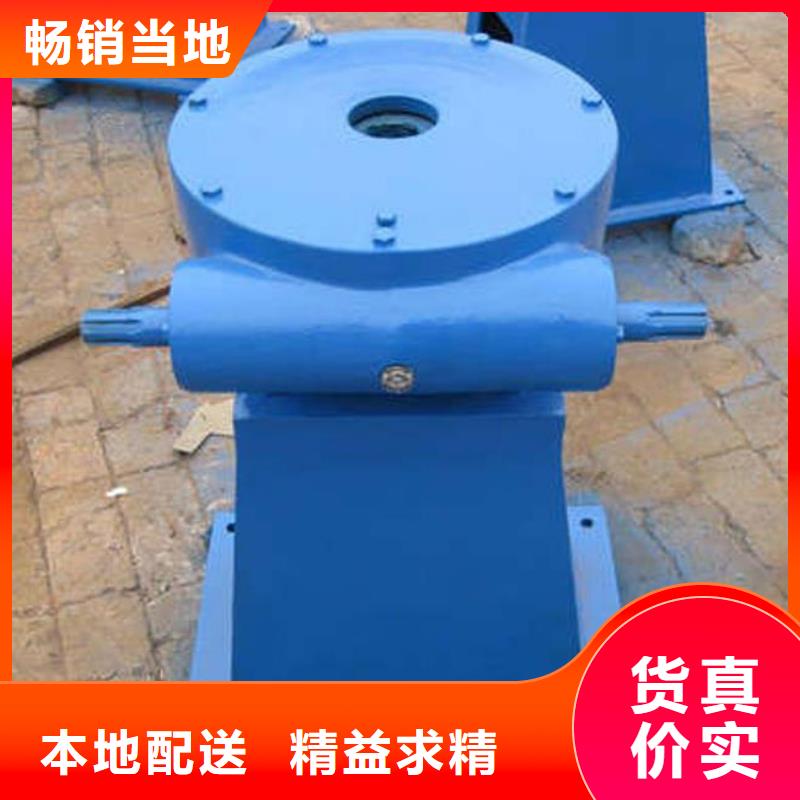 螺杆启闭机不锈钢拍门用心服务