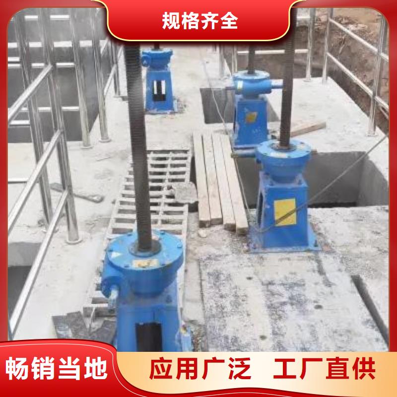 螺杆启闭机 钢制拍门优质材料厂家直销