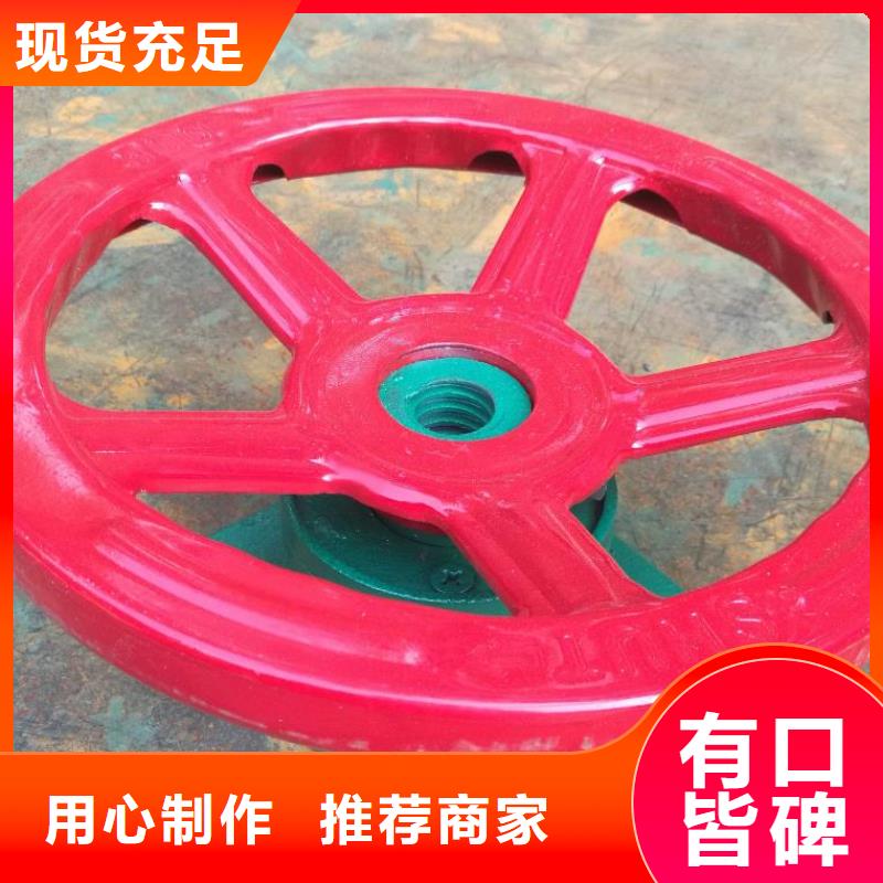 螺杆启闭机卷扬启闭机大厂家实力看得见