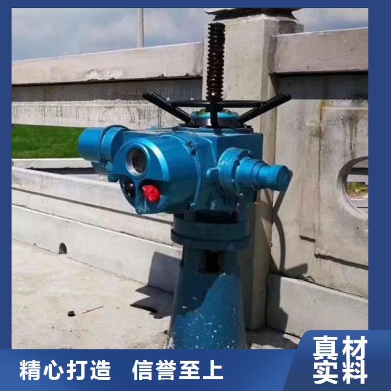 螺杆启闭机液压折叠坝讲信誉保质量