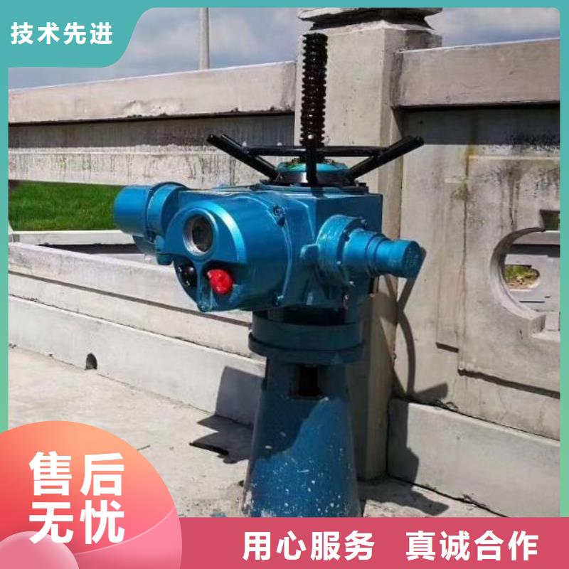 螺杆启闭机卷扬启闭机厂家常年出售