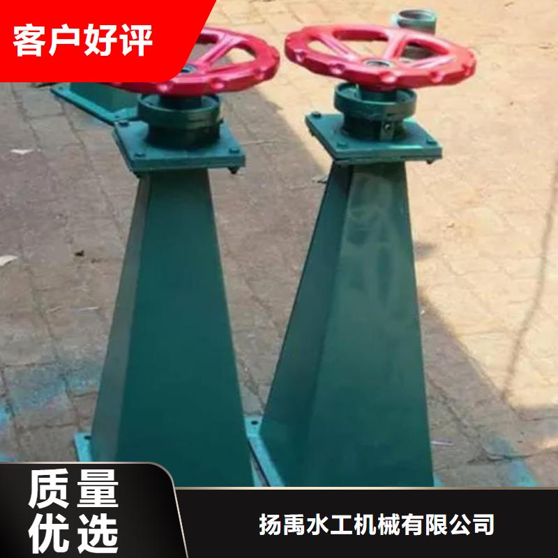 螺杆启闭机景观钢闸门大厂生产品质