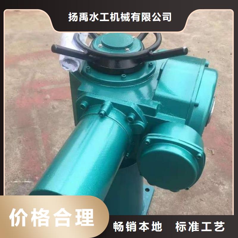 螺杆启闭机,钢制闸门支持定制