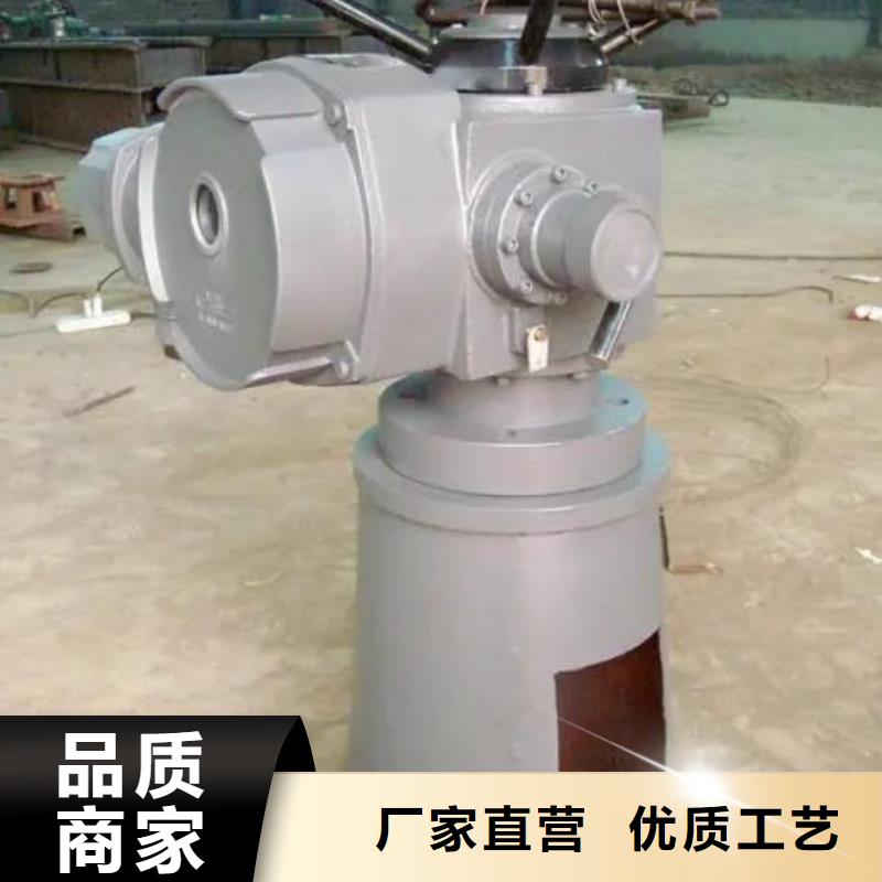螺杆启闭机,钢制拍门工期短发货快