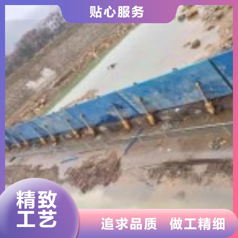 翻板闸门_泵站清污机专注细节专注品质