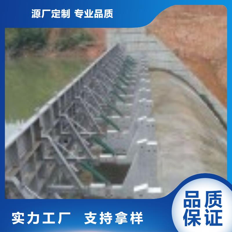 翻板闸门泵站清污机高标准高品质