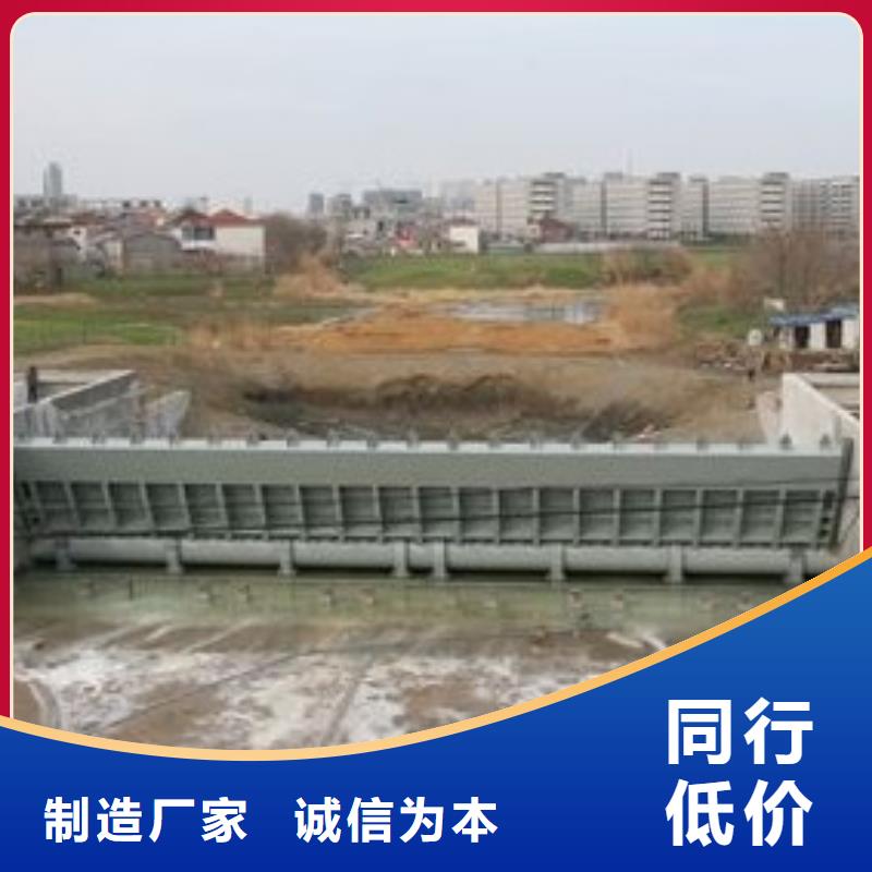 【翻板闸门】,电动装置启闭机源头厂家