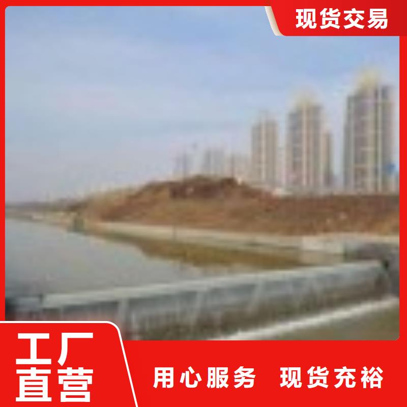 翻板闸门 【拦污栅】用心服务