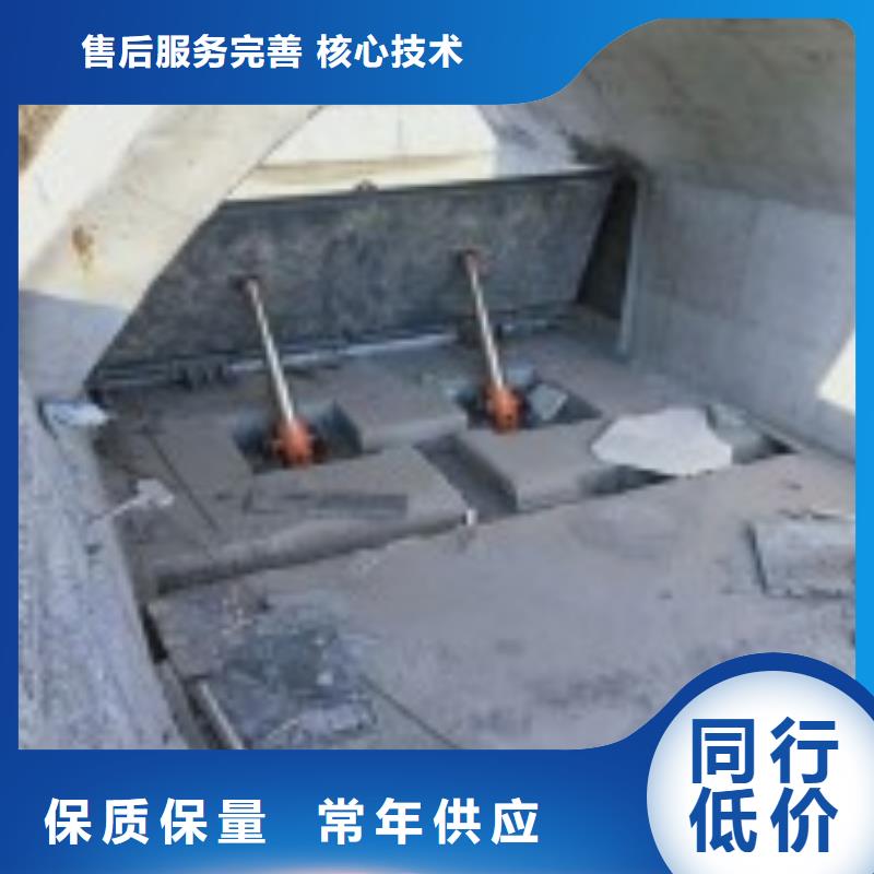 翻板闸门钢坝闸门实力工厂