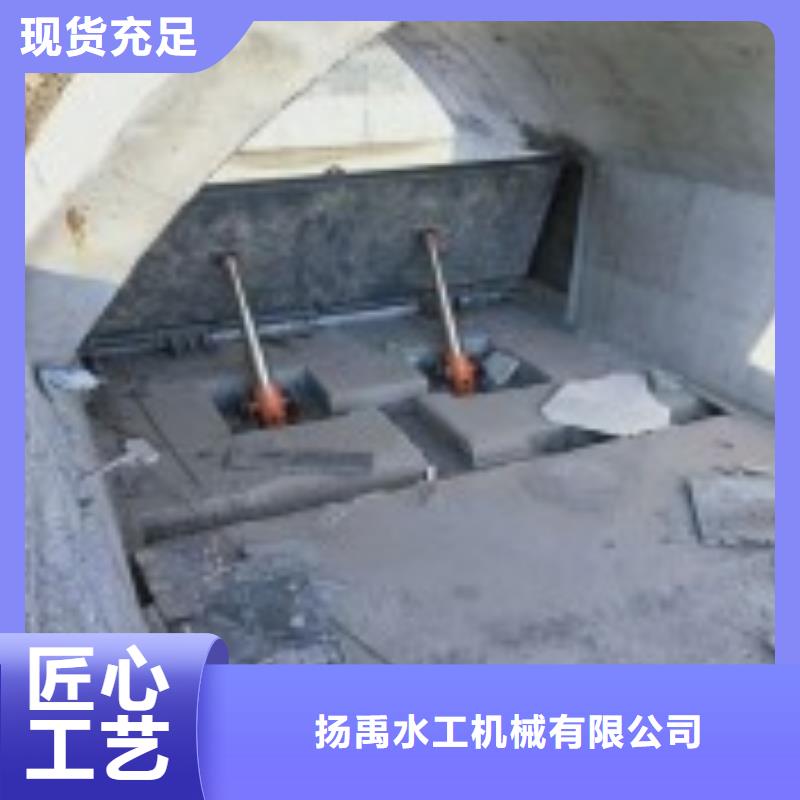 翻板闸门购买的是放心