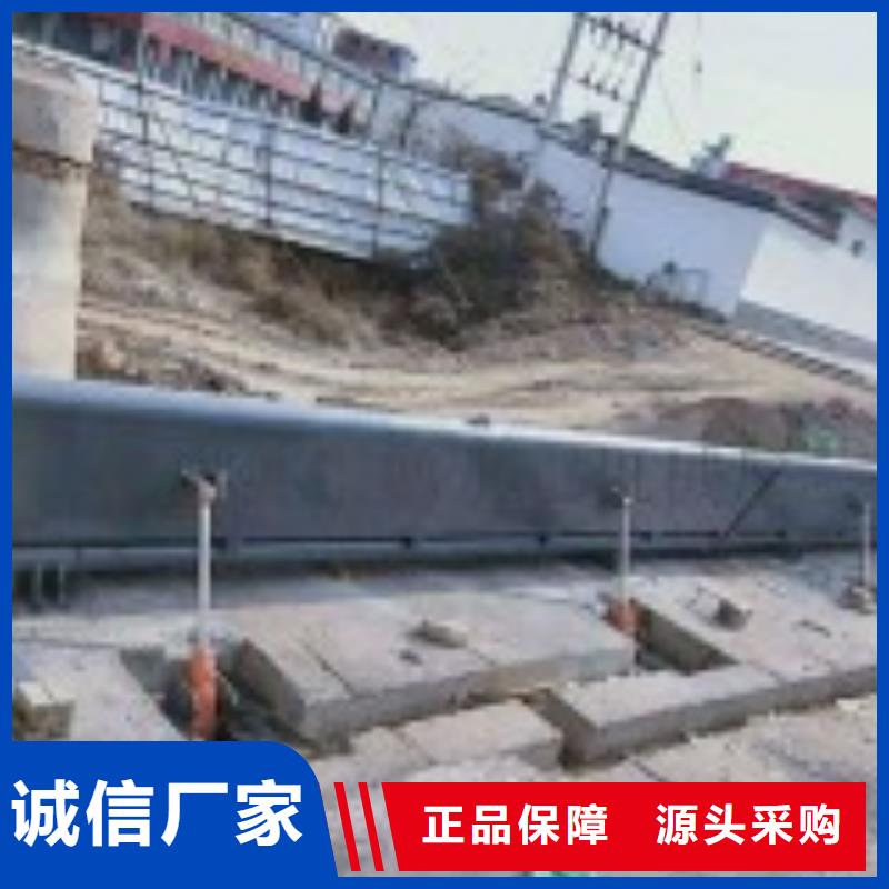 【翻板闸门】,电动装置启闭机源头厂家