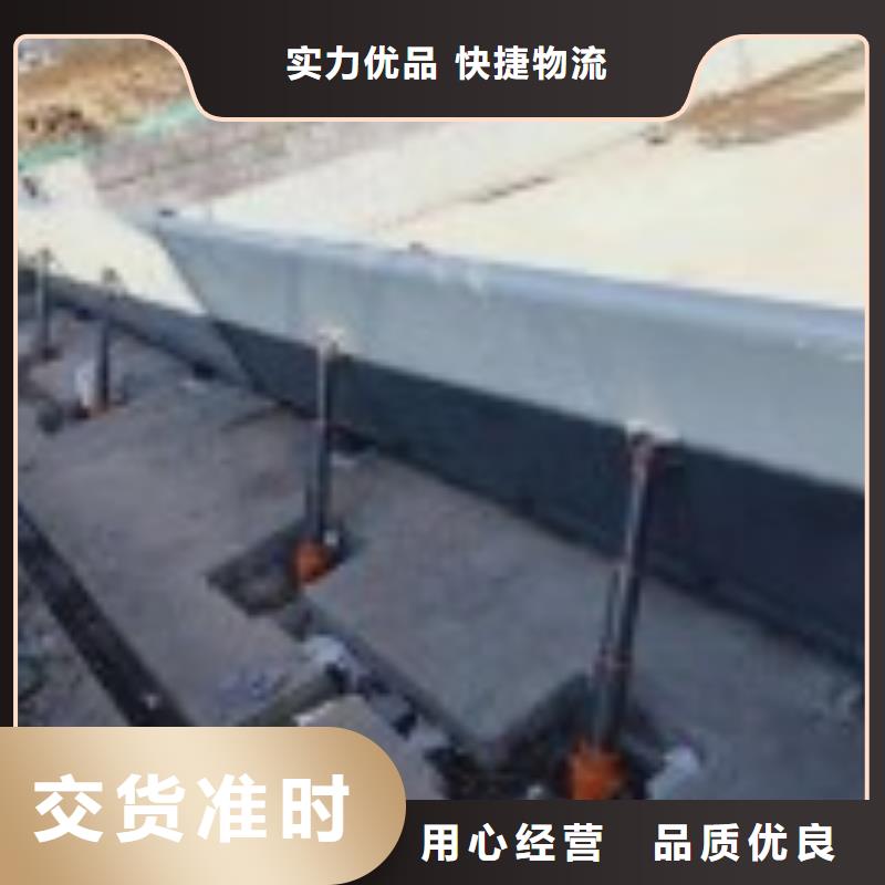 翻板闸门钢坝闸门实力工厂