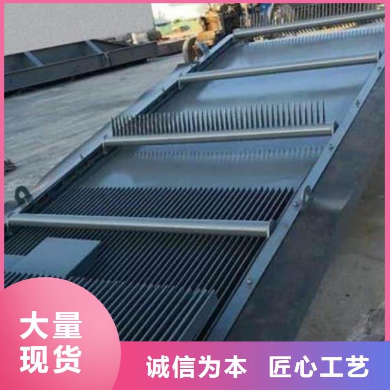 【清污机】钢制闸门专注品质