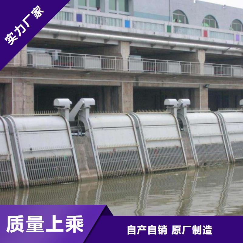 清污机钢制闸门专注细节使用放心