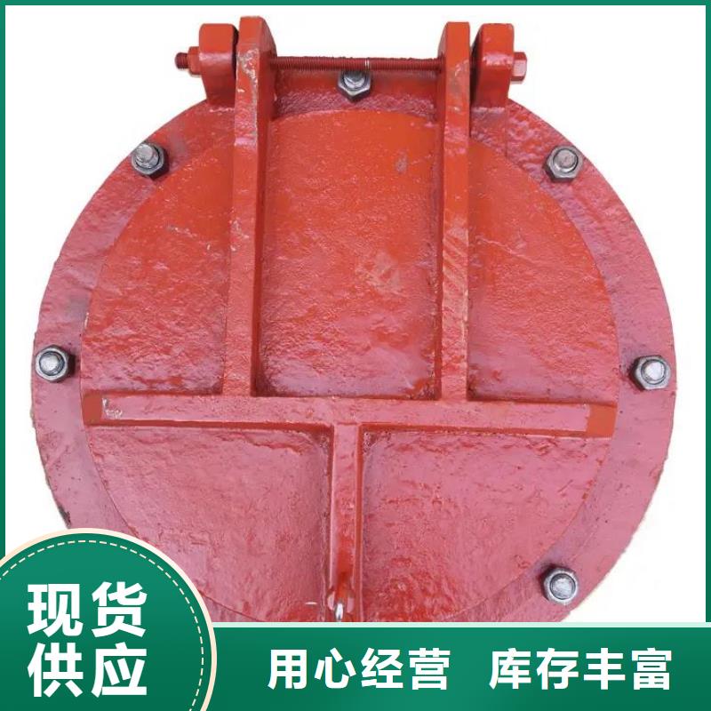 拍门-平板钢闸门当地厂家值得信赖