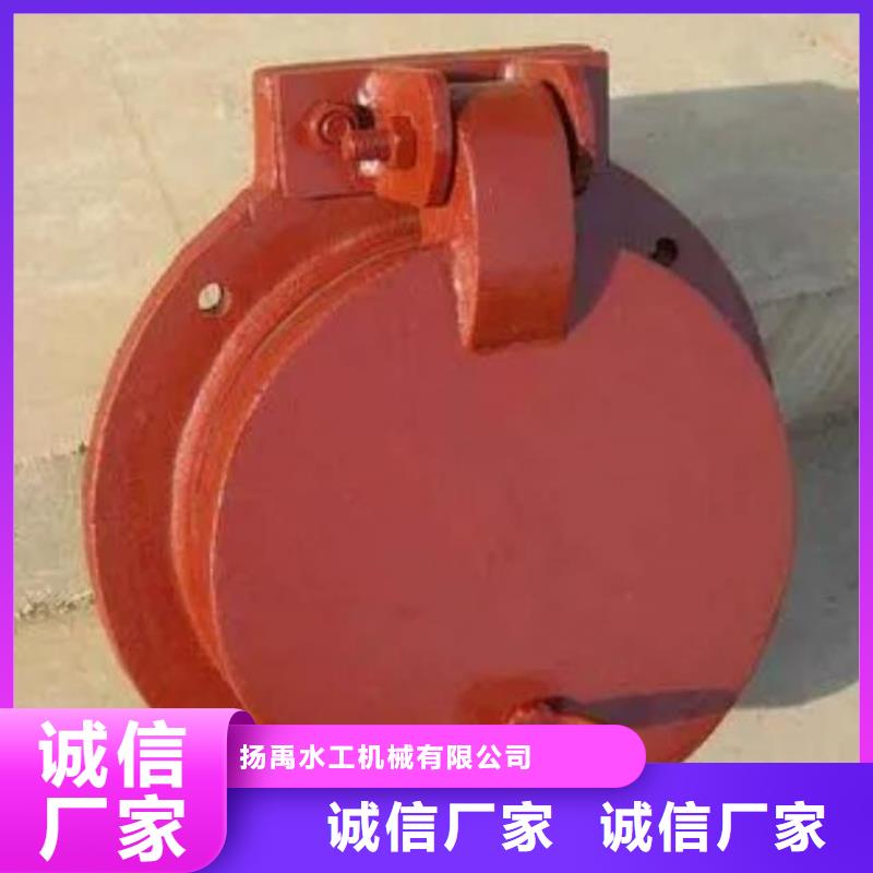 拍门【铸铁闸门】放心得选择