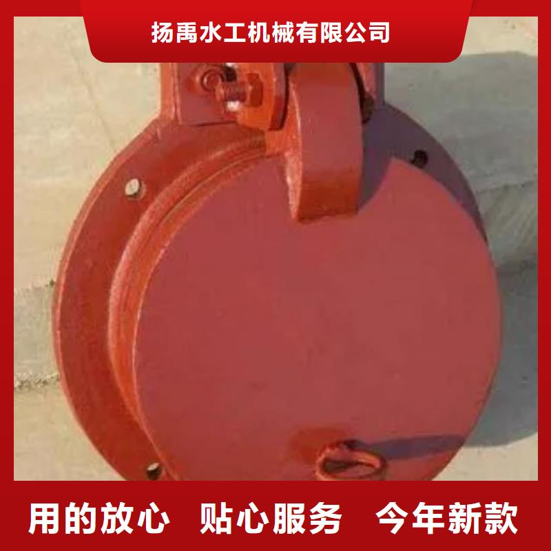 拍门-【卷扬启闭机】本地厂家值得信赖