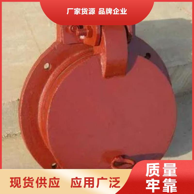 【拍门 卷扬启闭机厂家性能稳定】