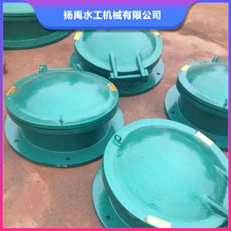 拍门 【铸铁闸门】专业品质