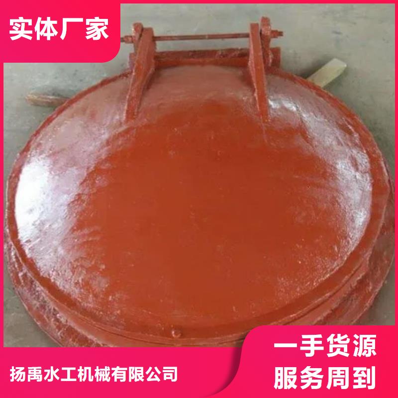 拍门 【铸铁闸门】专业品质